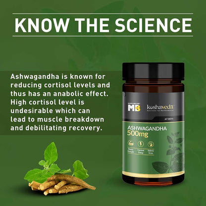 Koshaveda Ayurveda for Performance - Ashwagandha 500mg 60 tablet(s)