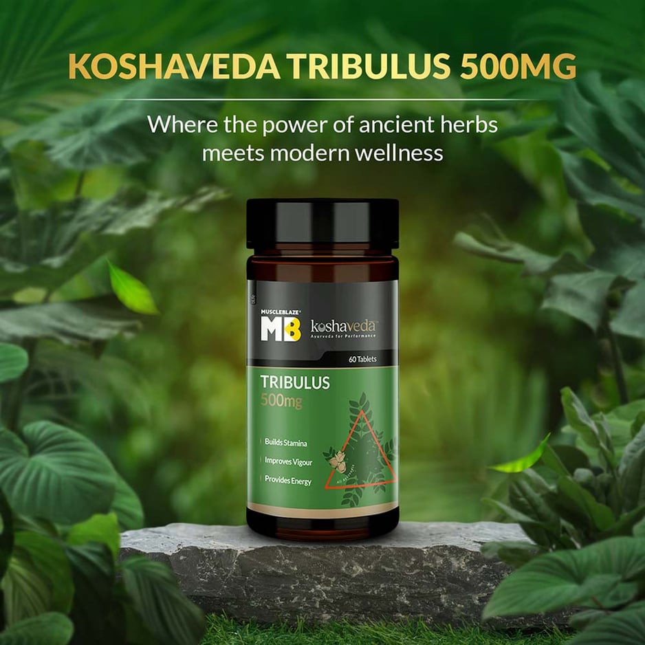 Koshaveda Tribulus 500mg by MuscleBlaze 60 tablet(s)